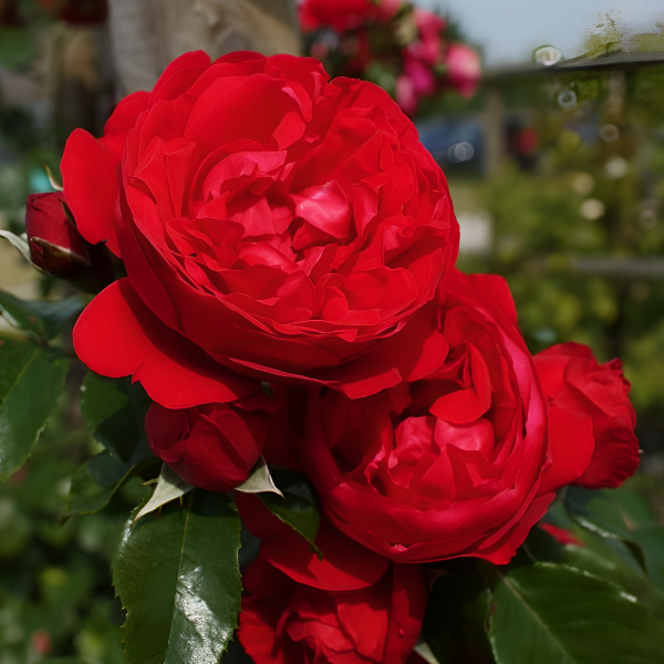 Основное изображение товара
