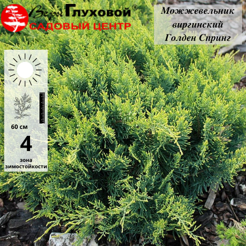 Основное изображение товара