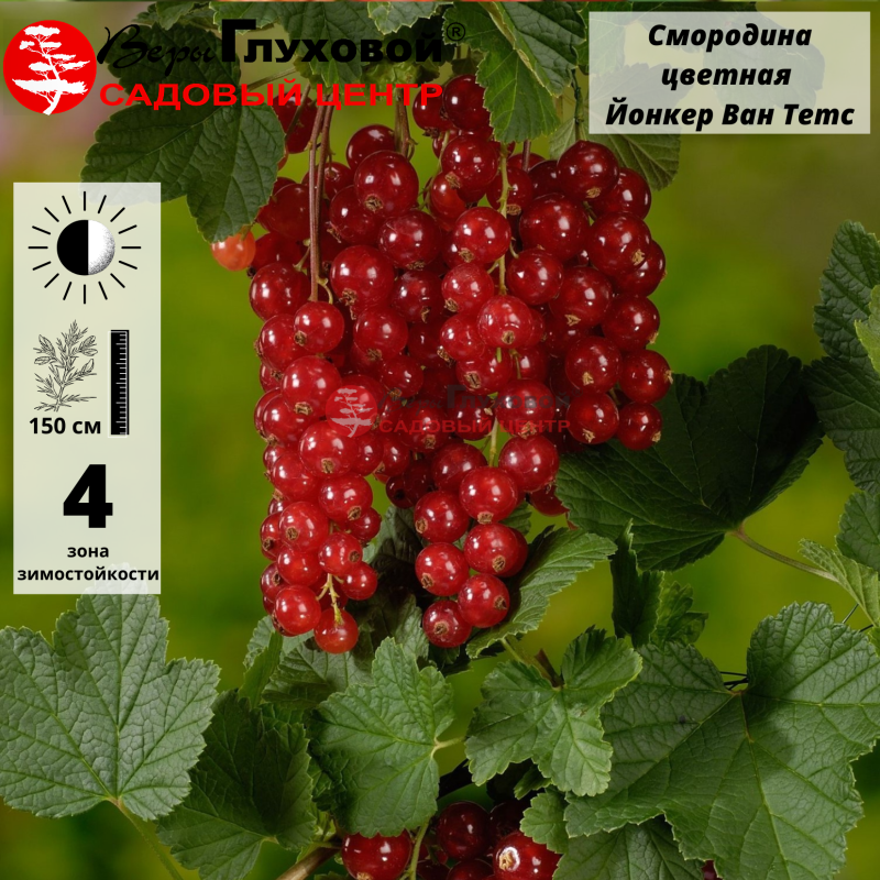 Основное изображение товара