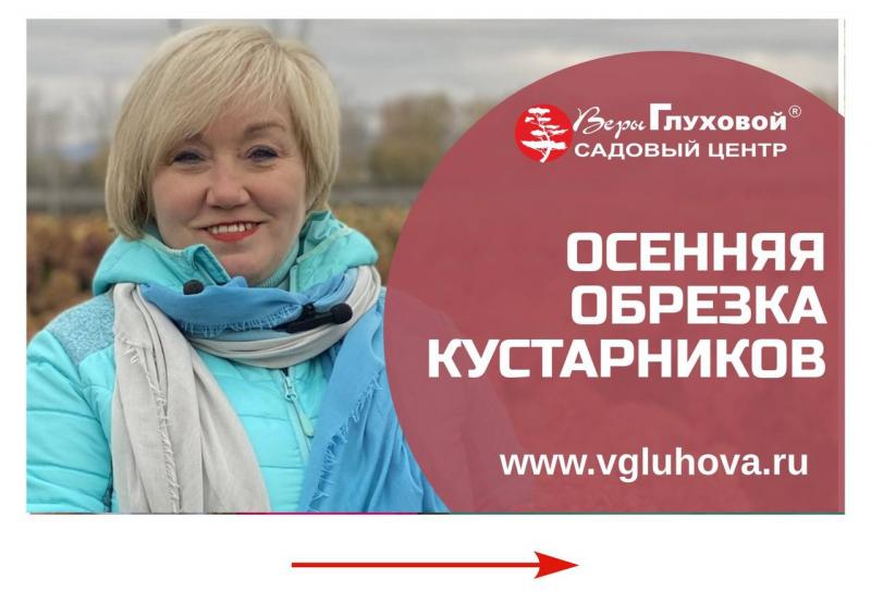 Осенняя обрезка кустарников