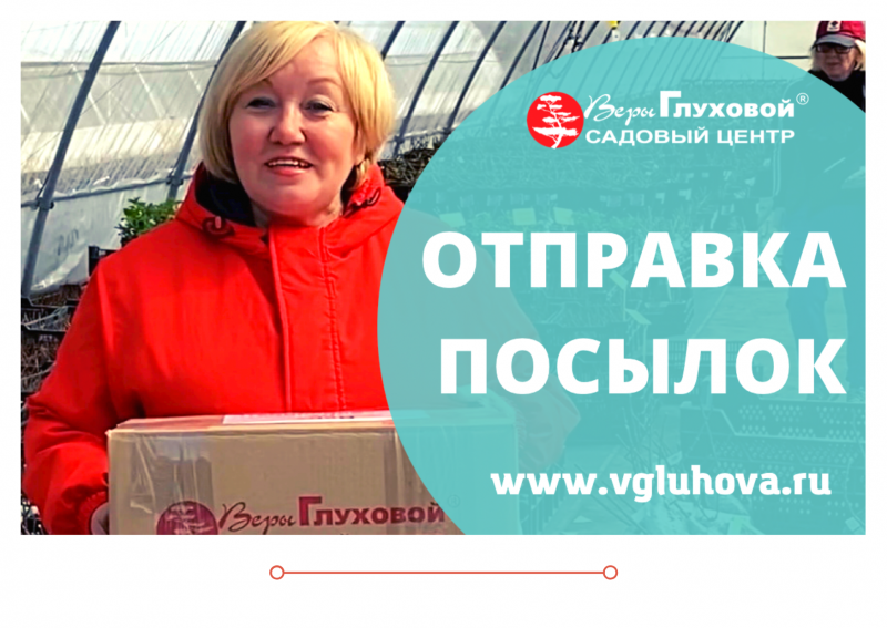 Мы начали отправку посылок