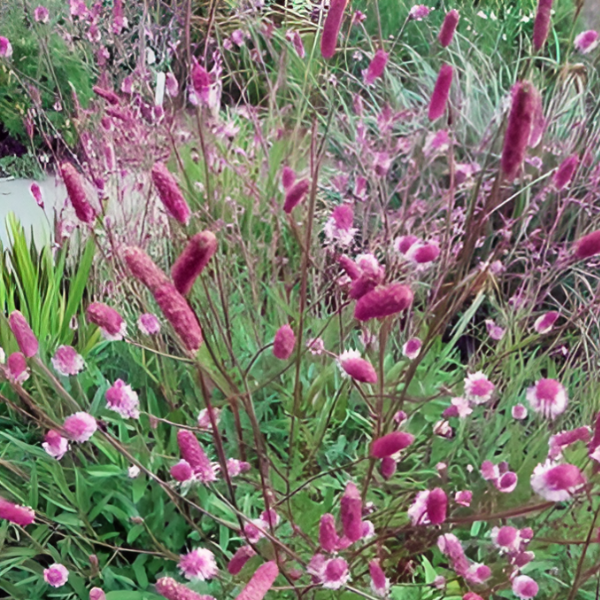 Основное изображение товара