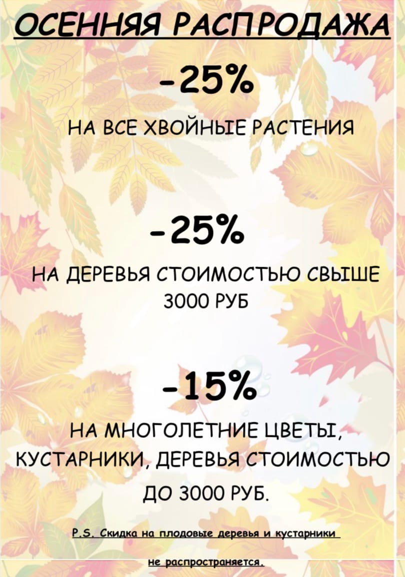 Осенняя распродажа 2020 Осенняя распродажа 2020