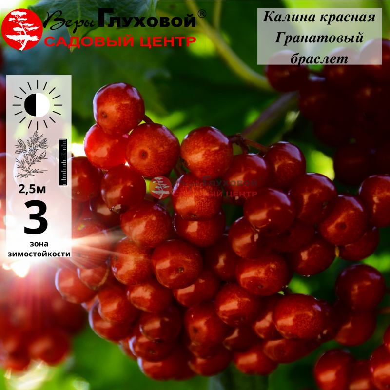 Основное изображение товара