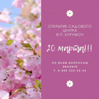 Мы открываем сезон 2020