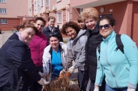 Посадка гортензий в ЖК Южный город