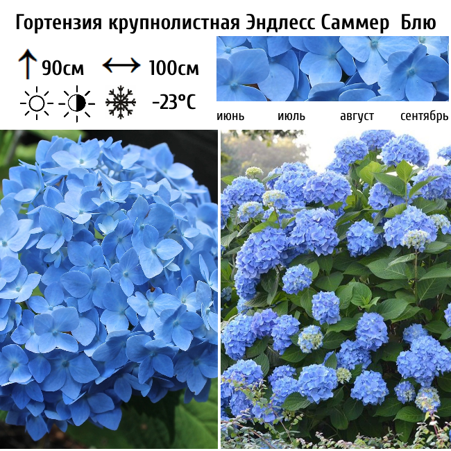 Основное изображение товара