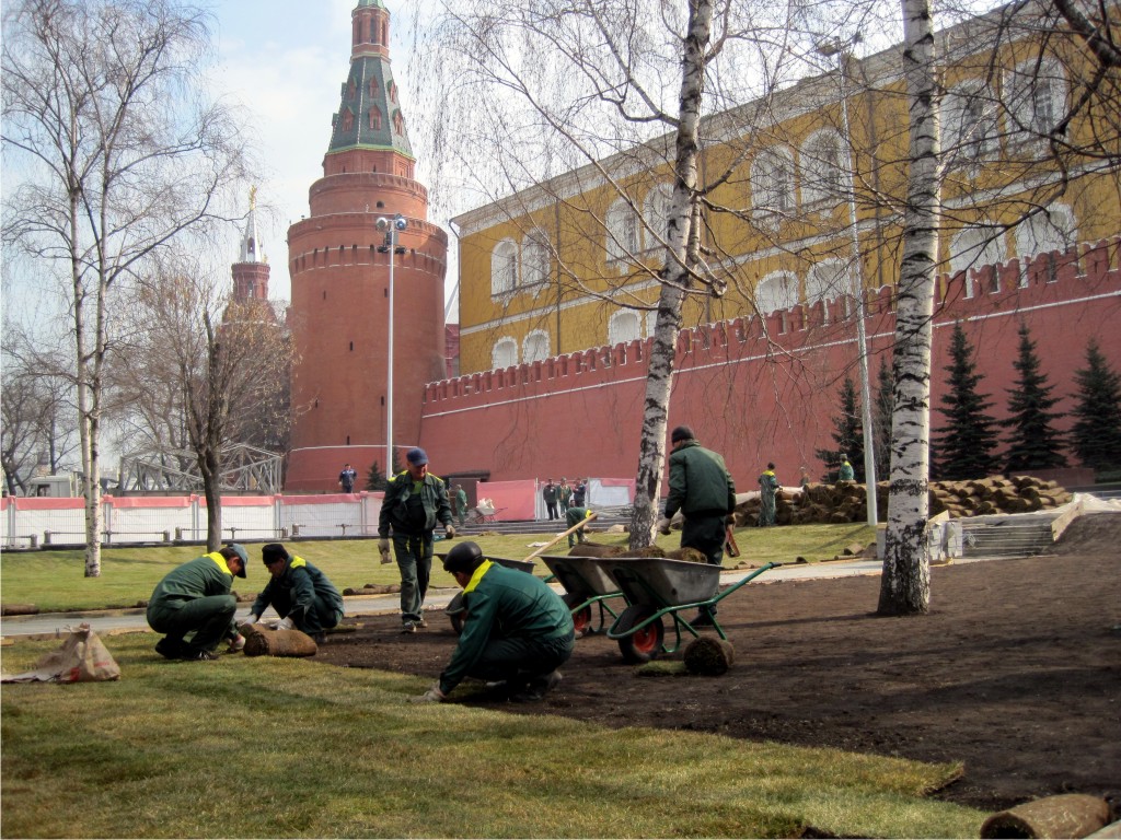 Уход за газоном Уход за газоном