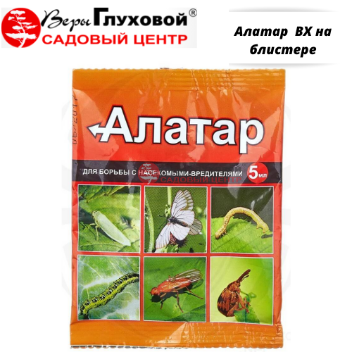 Основное изображение товара