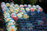 Садовый центр Веры Глуховой предлагает водные и прибрежные растения от 360 руб.