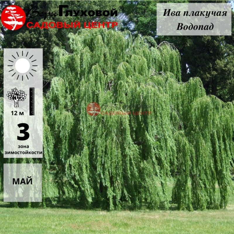 Основное изображение товара