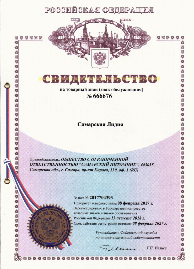 Патент на название нового сорта гортензии Самарская Лидия, Россия, получен в 2018 году.jpeg Патент на название нового сорта гортензии Самарская Лидия, Россия, получен в 2018 году.jpeg