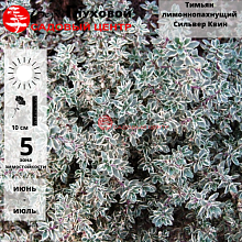 Основное изображение товара