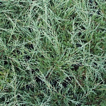 Основное изображение товара