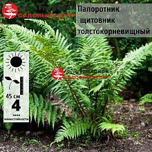 Основное изображение товара