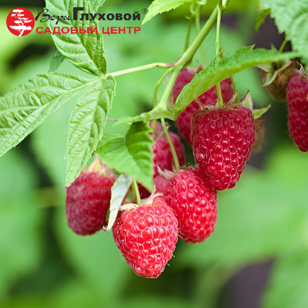 Рисунок 129.jpg