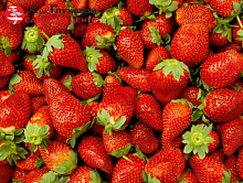 Основное изображение товара