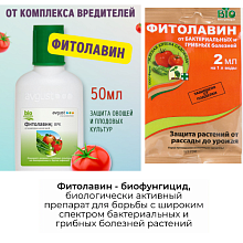 Основное изображение товара