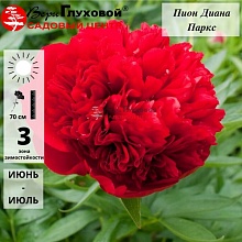 Основное изображение товара