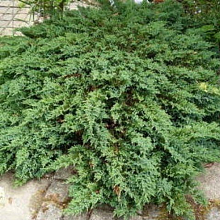 Основное изображение товара