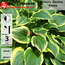 Основное изображение товара