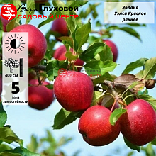 Рисунок 329.jpg